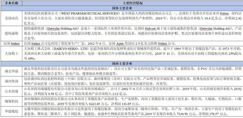 2021年藥用膠塞項目投資分析報告 實業(yè)投資視角下的機(jī)遇與風(fēng)險評估